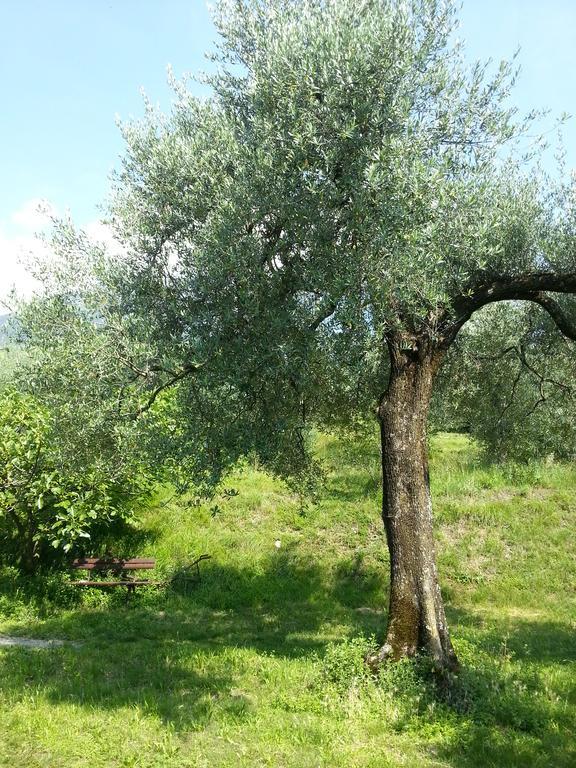 Villa Ca' Dei Gatti Toscolano-Maderno Exterior foto